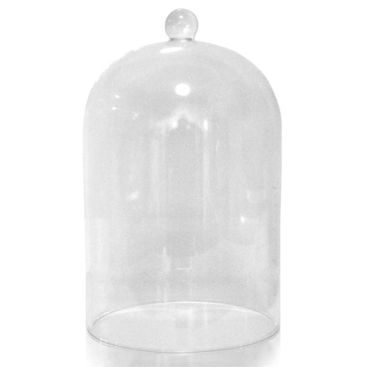 Glass Cloche Dome