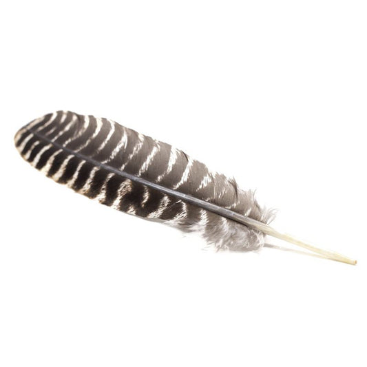 Smudge Feather